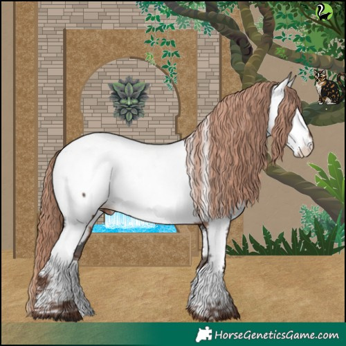Horse Color:Liver Chestnut Appaloosa 