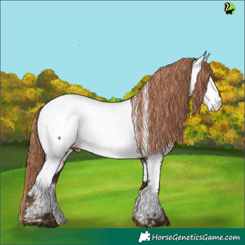 Horse Color:Liver Chestnut Appaloosa