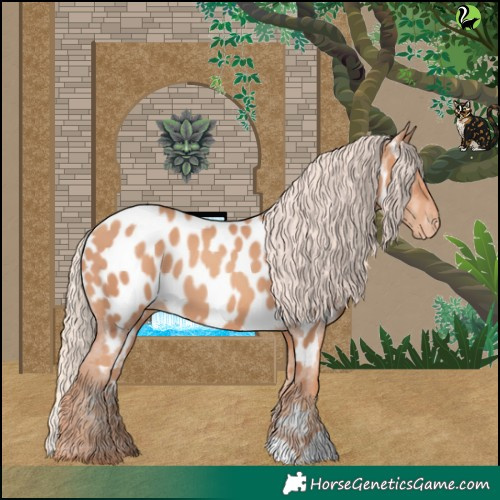 Horse Color:Gold Champagne Appaloosa