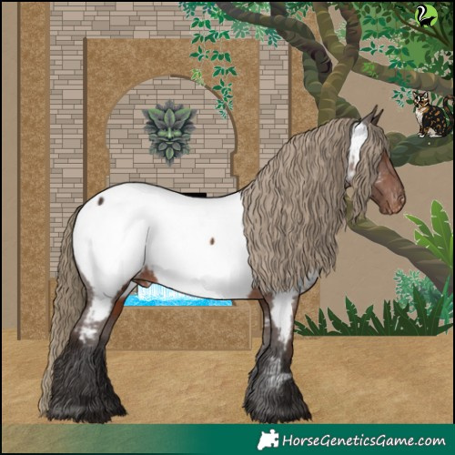 Horse Color:Liver Chestnut Near Fewspot 