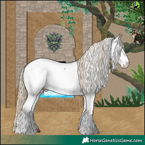Horse Color:Gold Champagne Appaloosa 