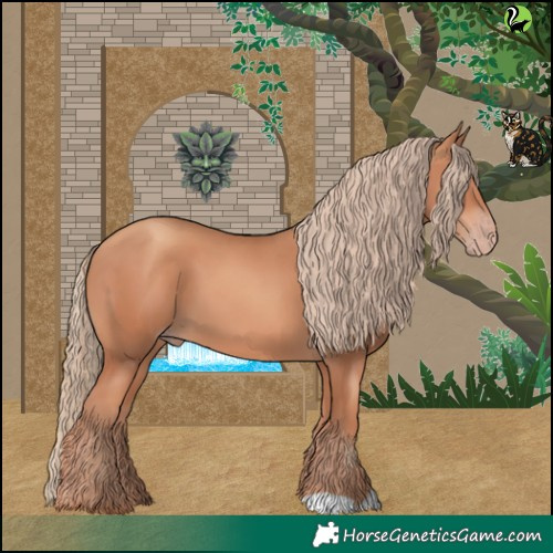 Horse Color:Gold Champagne 