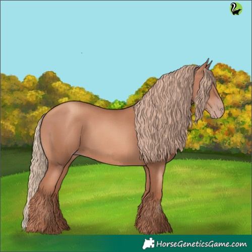 Horse Color:Gold Champagne
