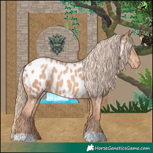 Horse Color:Gold Champagne Appaloosa 