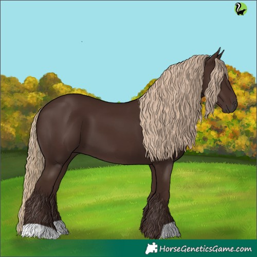 Horse Color:Liver Chestnut 