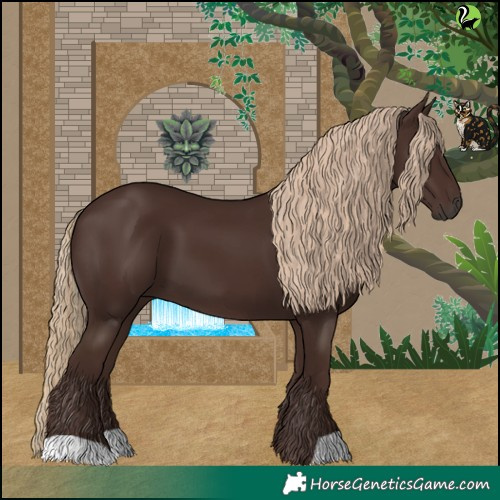 Horse Color:Liver Chestnut 