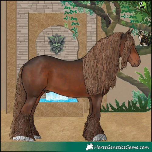 Horse Color:Liver Chestnut 