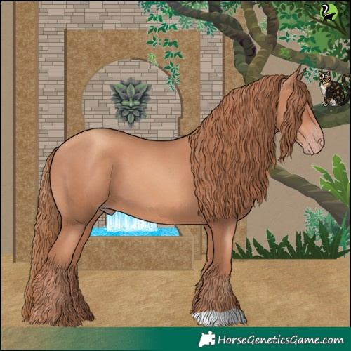 Horse Color:Gold Champagne 
