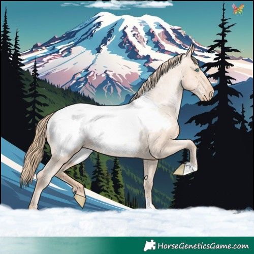 Horse Color:Gold Champagne Pearl Snowcap 