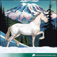 Horse Color:Gold Champagne Pearl Snowcap