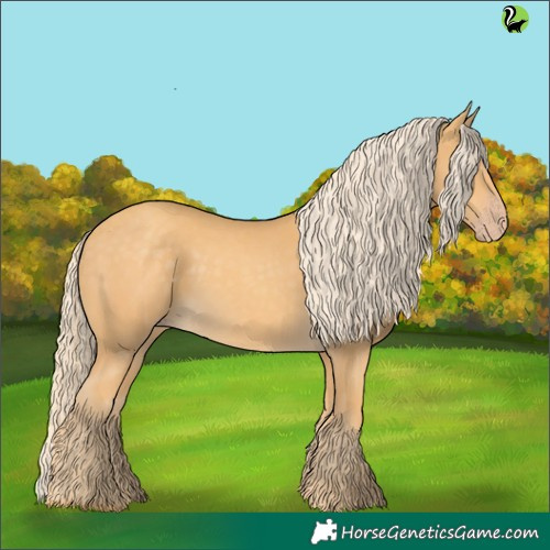 Horse Color:Gold Cream Champagne