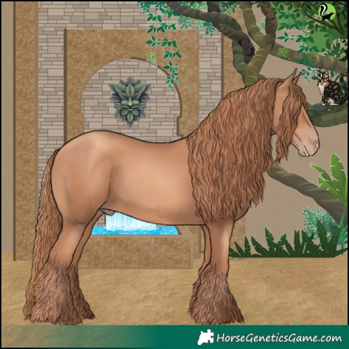 Horse Color:Gold Champagne 