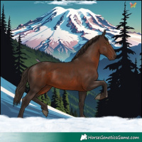 Horse Color:Liver Chestnut 