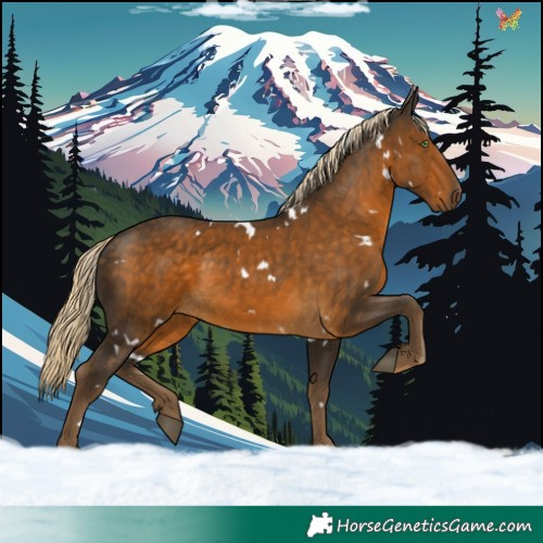 Horse Color:White Spotted Chocolate Palomino 