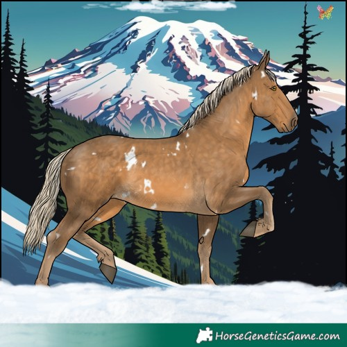 Horse Color:White Spotted Chocolate Palomino 