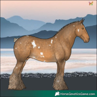 Horse Color:White Spotted Chocolate Palomino 