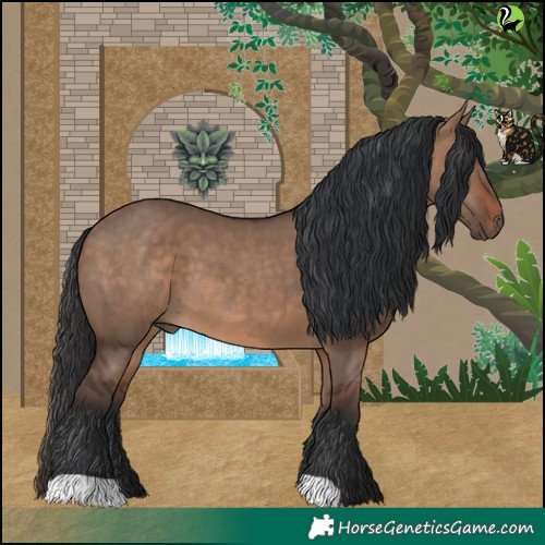 Horse Color:Brown Dun 