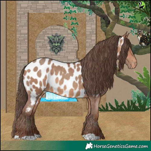 Horse Color:Sable Champagne Appaloosa 