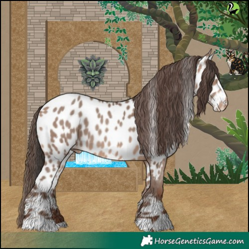 Horse Color:Sable Champagne Appaloosa 