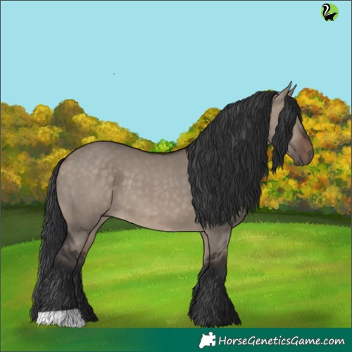 Horse Color:Brown Dun 