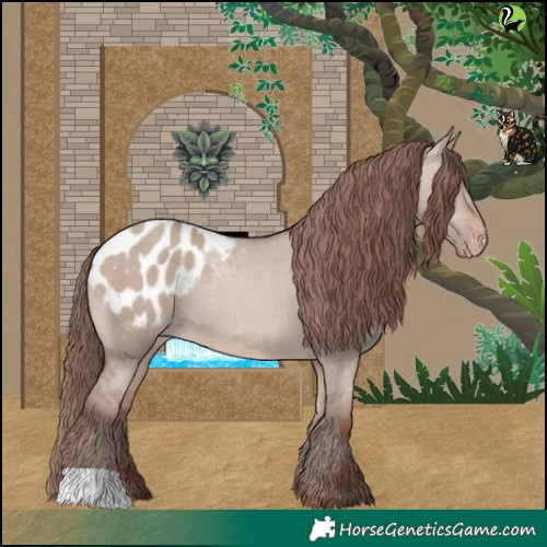 Horse Color:Sable Champagne Dun Appaloosa 
