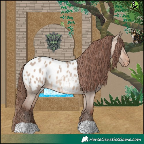 Horse Color:Sable Champagne Dun Blanket 