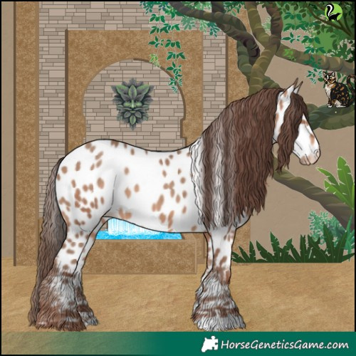 Horse Color:Sable Champagne Near Leopard 