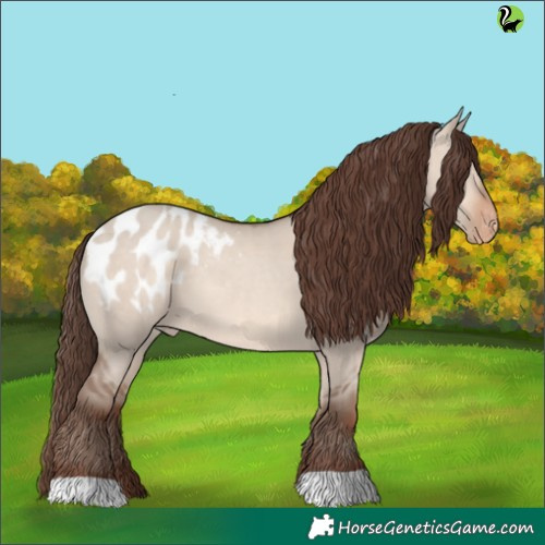 Horse Color:Sable Champagne Dun Appaloosa 