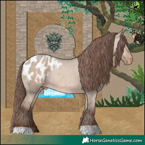 Horse Color:Sable Champagne Dun Blanket 