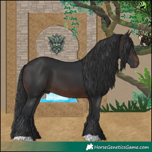 Horse Color:Brown 