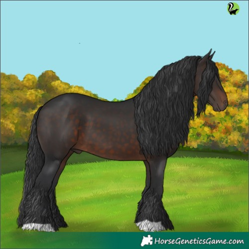 Horse Color:Brown 