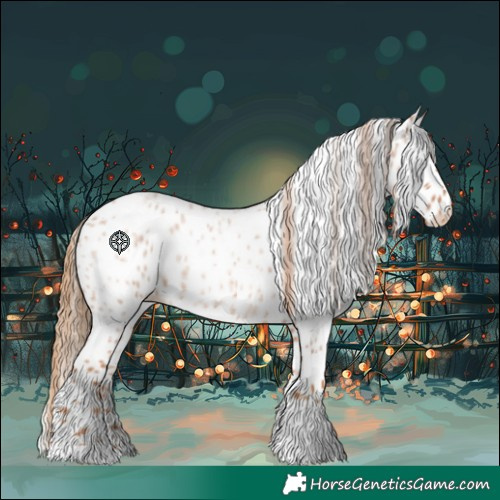 Horse Color:Red Roan Tobiano Appaloosa