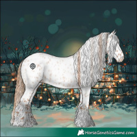 Horse Color:Red Roan Tobiano Leopard 