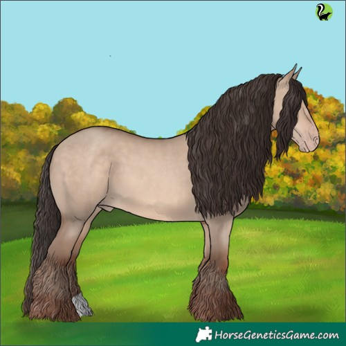 Horse Color:Sable Champagne Dun