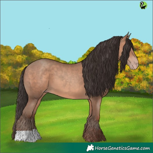 Horse Color:Sable Champagne 