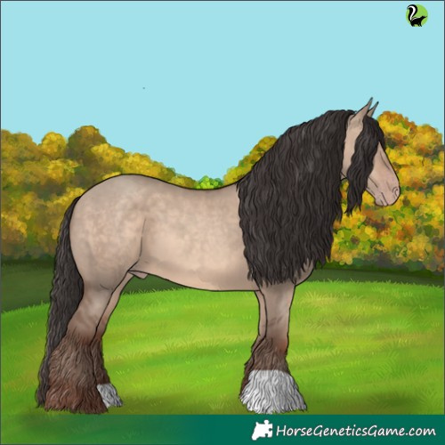 Horse Color:Sable Champagne Dun 