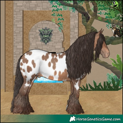 Horse Color:Sable Champagne Appaloosa 