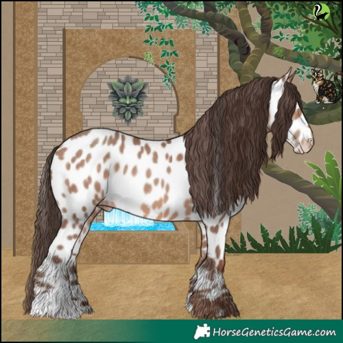 Horse Color:Sable Champagne Appaloosa 