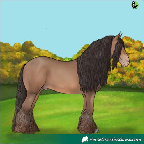 Horse Color:Sable Champagne