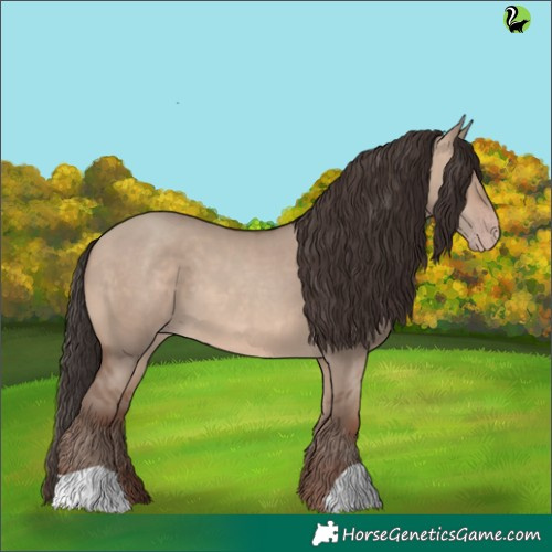 Horse Color:Sable Champagne Dun 