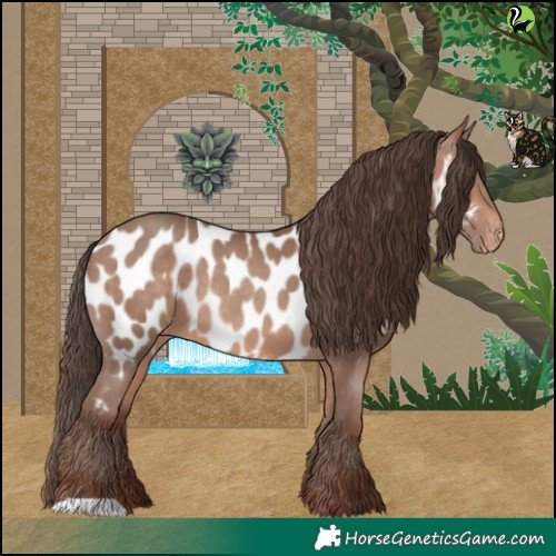 Horse Color:Sable Champagne Near Leopard 