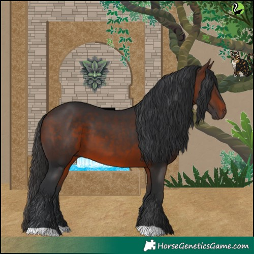 Horse Color:Brown 