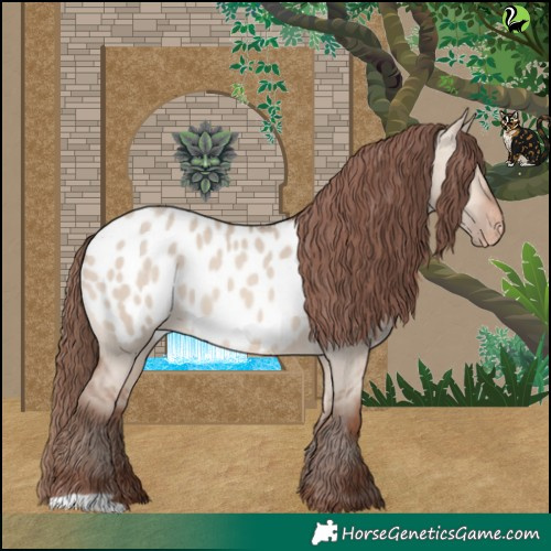 Horse Color:Sable Champagne Dun Blanket 