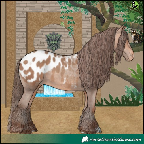 Horse Color:Amber Champagne Appaloosa 