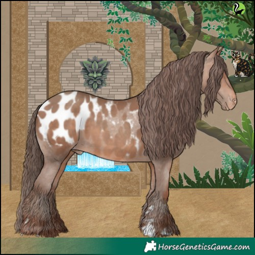 Horse Color:Sable Champagne Blanket 