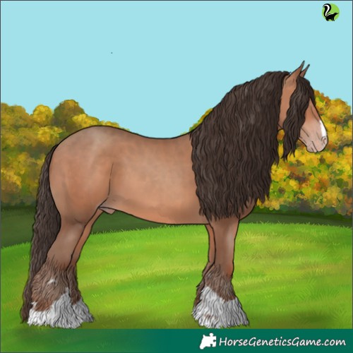 Horse Color:Sable Champagne