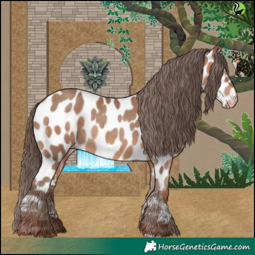 Horse Color:Sable Champagne Appaloosa 