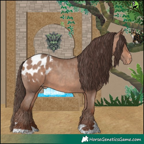 Horse Color:Sable Champagne Blanket 
