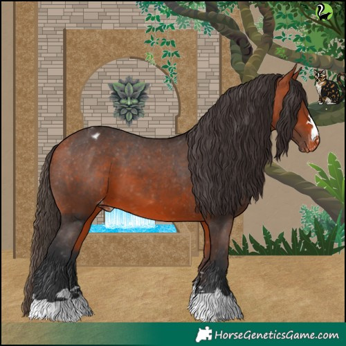 Horse Color:Bay Varnish 