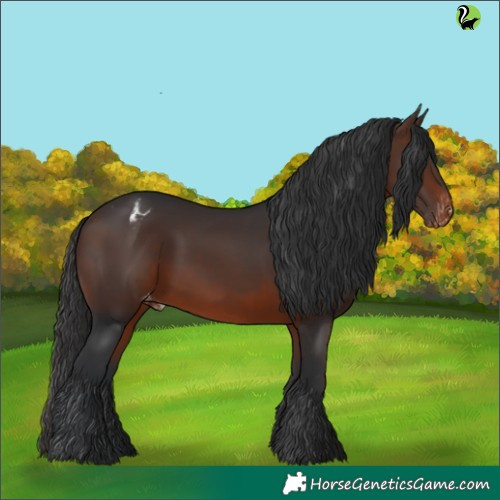 Horse Color:Brown Appaloosa 